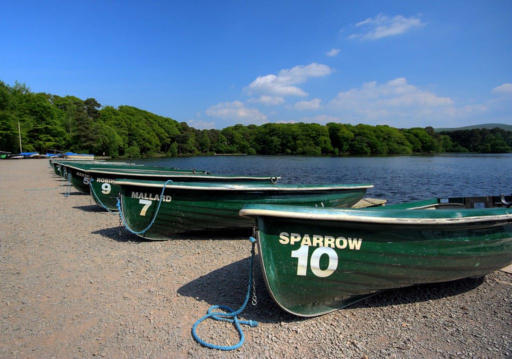 Boats For Hire At Talkin Tarn by Duncan McNaught