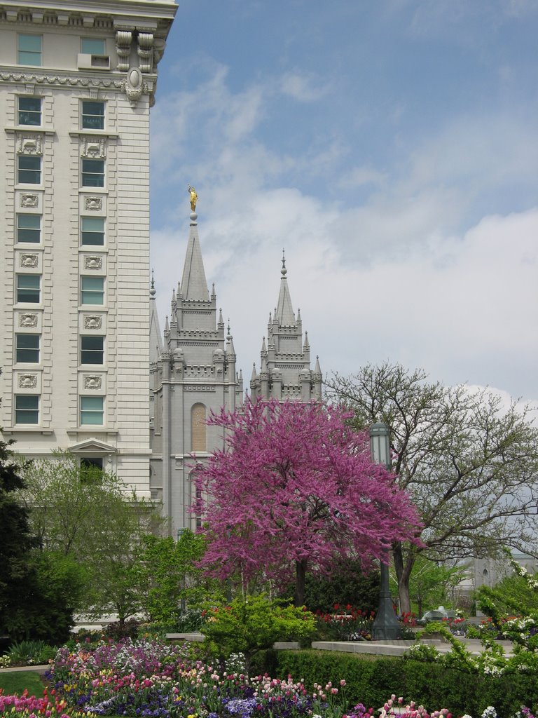 Temple Square depuis l'entrée du siège de l'église mormone by Gauderique