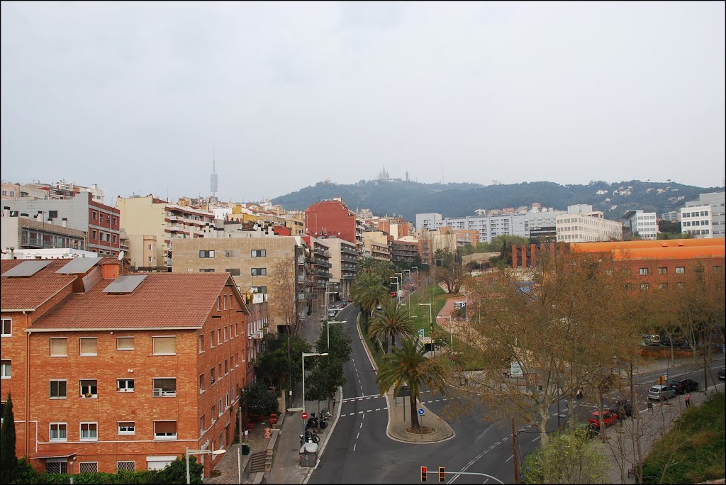 Desde el Viaducto de Vallcarca (Barcelona, 22-3-2014) by Juanje 2712