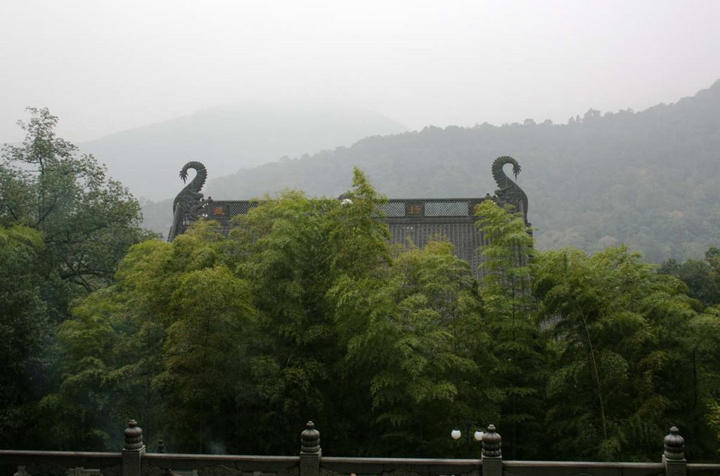 Mái chùa giữa núi rừng bình yên (Temple's roof in peaceful forest) by nguyen thanh vinh