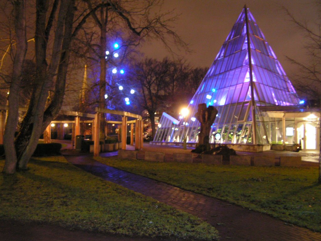 Winter night in Linköping by Olof Lagerkvist