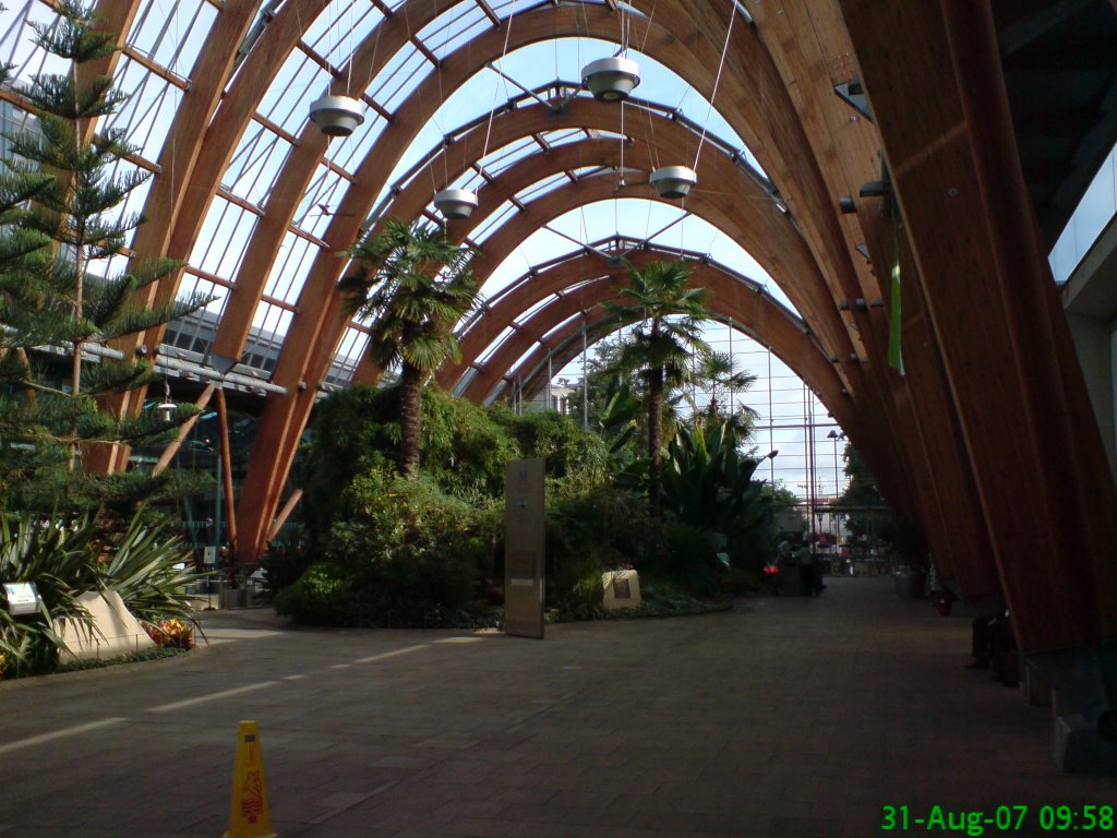 Sheffield Winter Garden by GT3