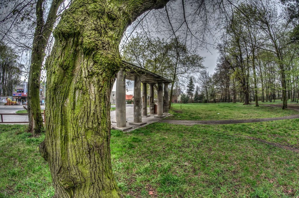 Park Południowy Głogów by Arek R.