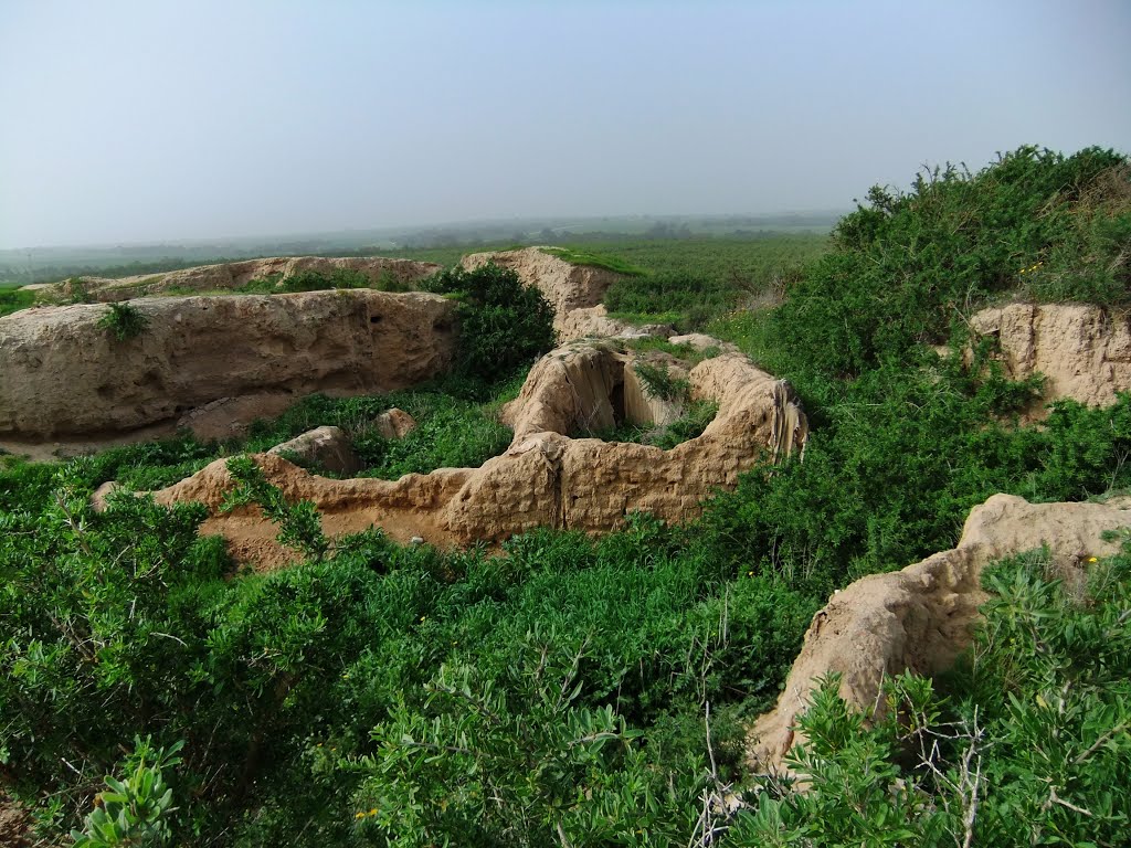 Archaeological site on top of tel gama by gilshamir2