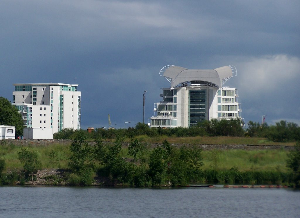 St david Hotel & Spa across the River Taff by Juliet Cullen