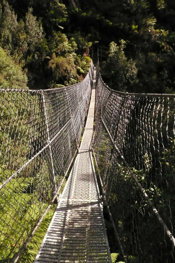 Suspensions bridge, Montezuma f by FKL