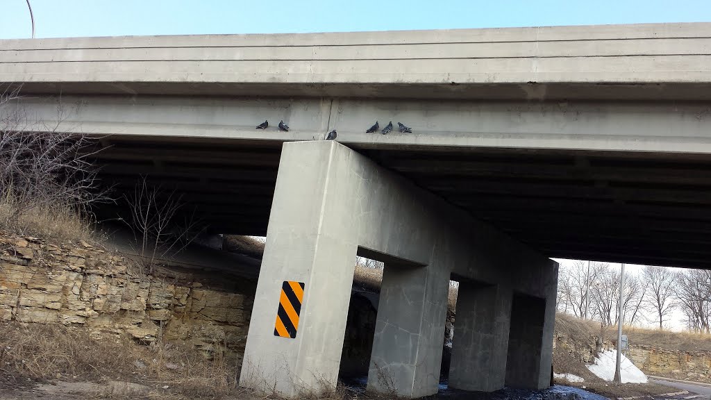 Hwy 55 Bridge by Gabriel Vanslette