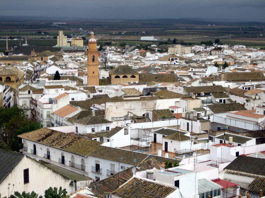 Osuna desde La Colegiata by Alicia Zamorano