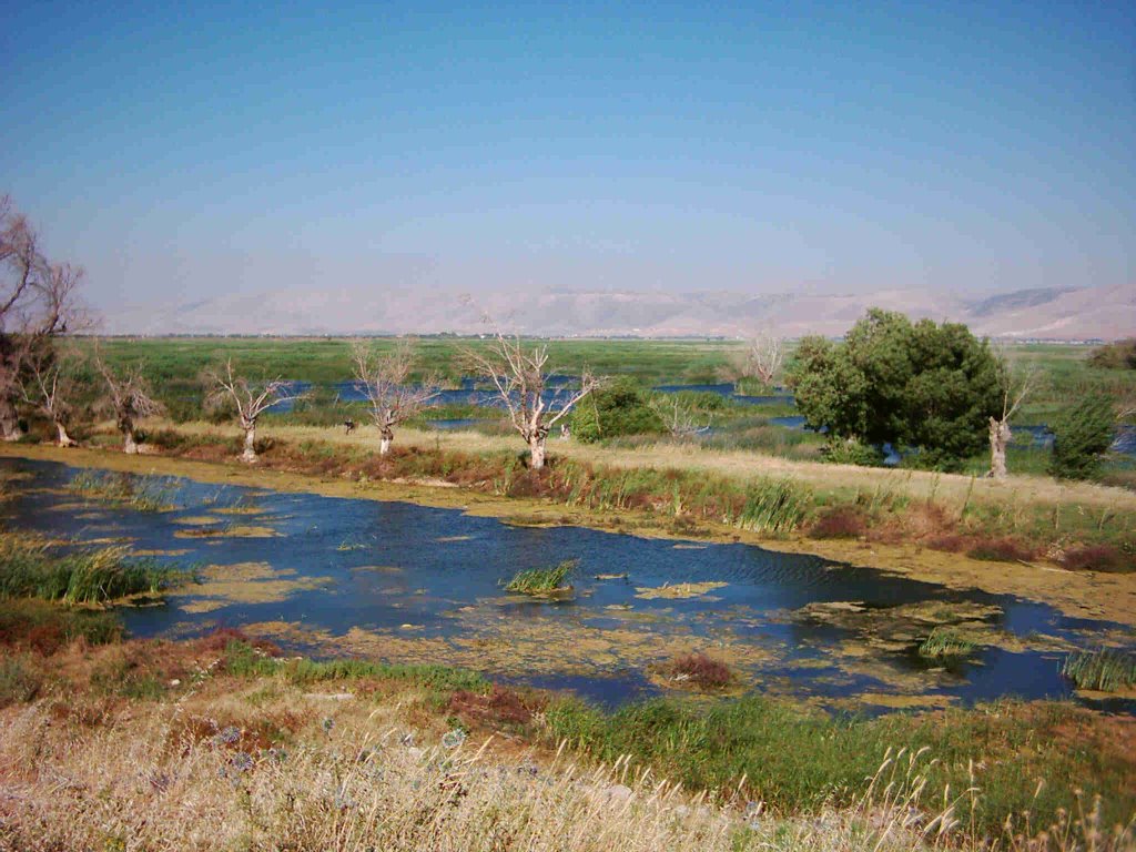 AMMIQ LAKE by JALAL FOUANIجلال الفوعاني