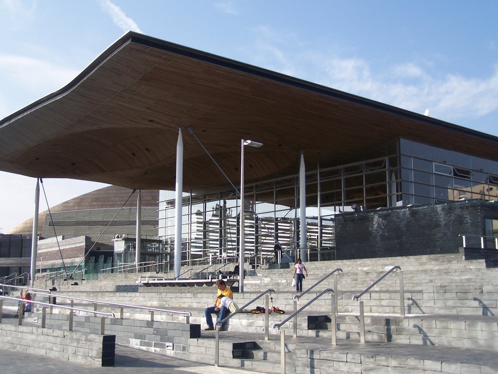 Welsh assembly by Juliet Cullen