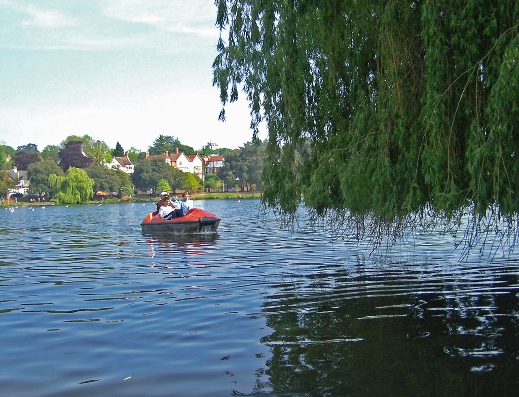 Roath Park by Juliet Cullen