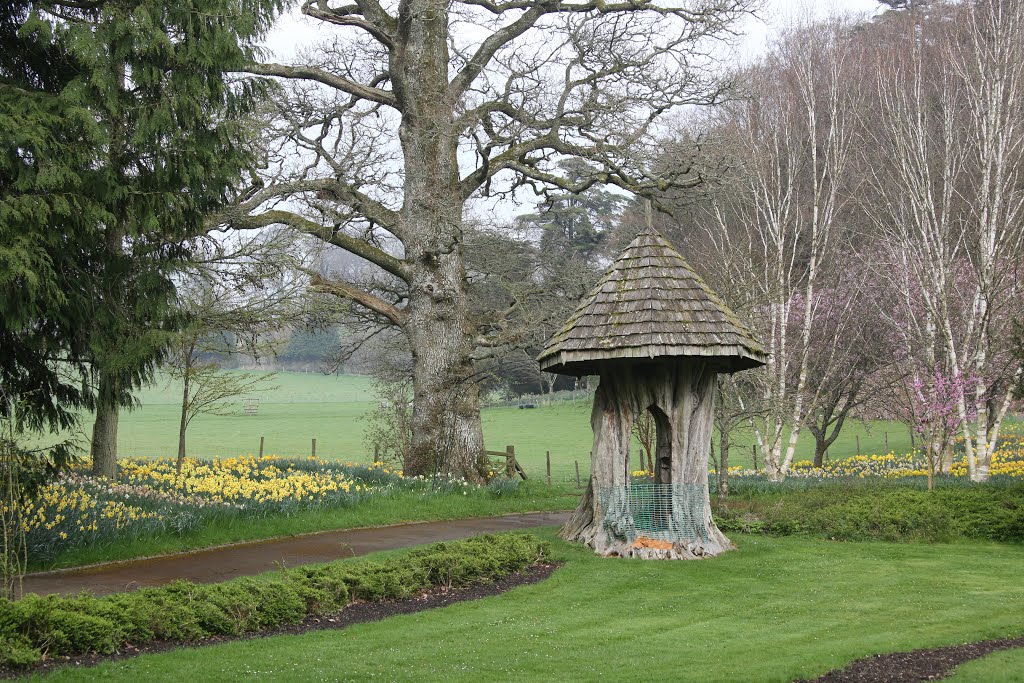 CRICKET SAINT THOMAS HOTEL GROUNDS by Alan McFaden