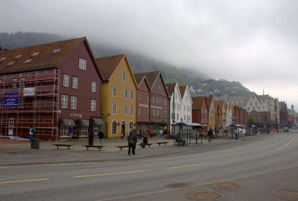 Bergen by Kälbchen