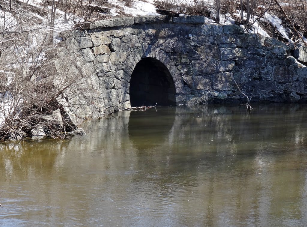 SLR Taylor Brook Bridge, Auburn, Maine by Taoab