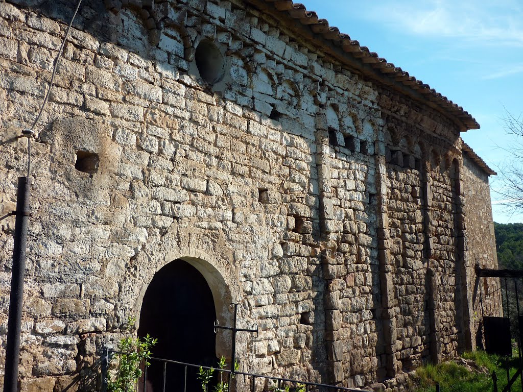 Sant Andreu del Puig de Rialb by Isidre Blanc