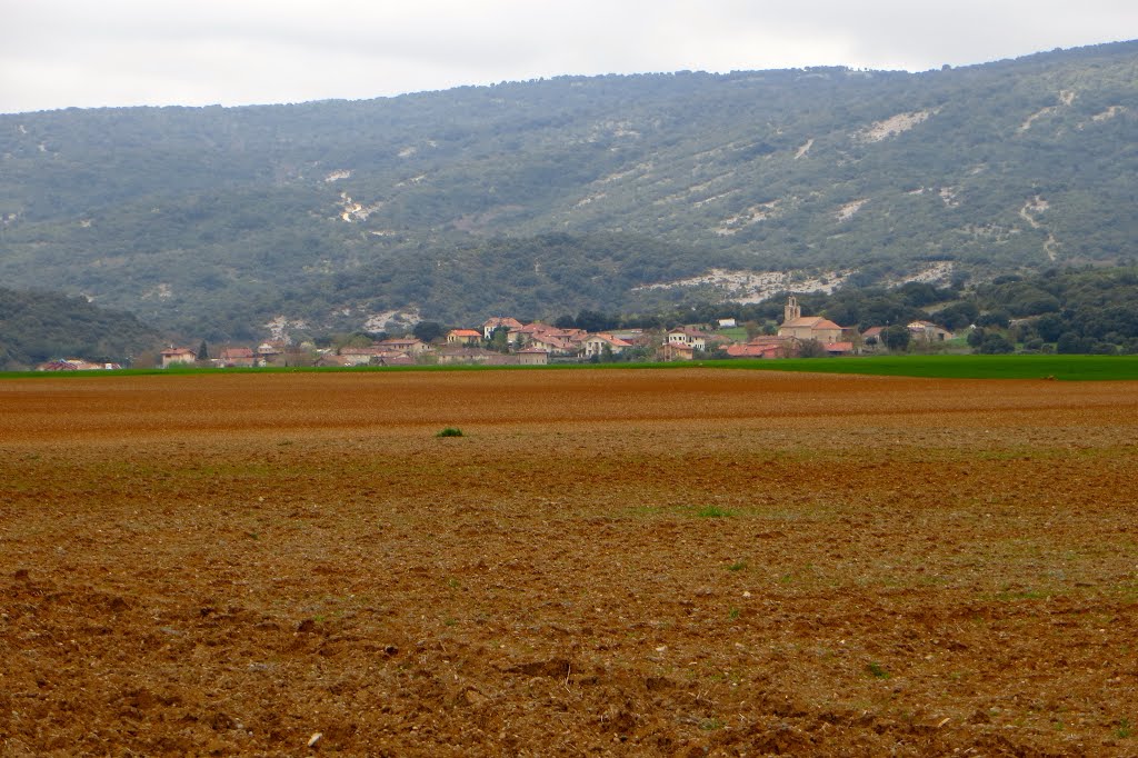 Hueto Arriba (Álava). País Vasco. Spain. by María Fernando