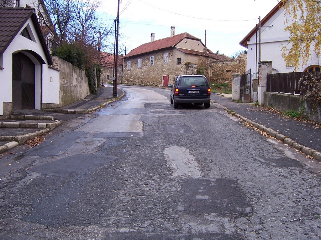 Veszprém bad condition of Pajta street by Robert Dobos