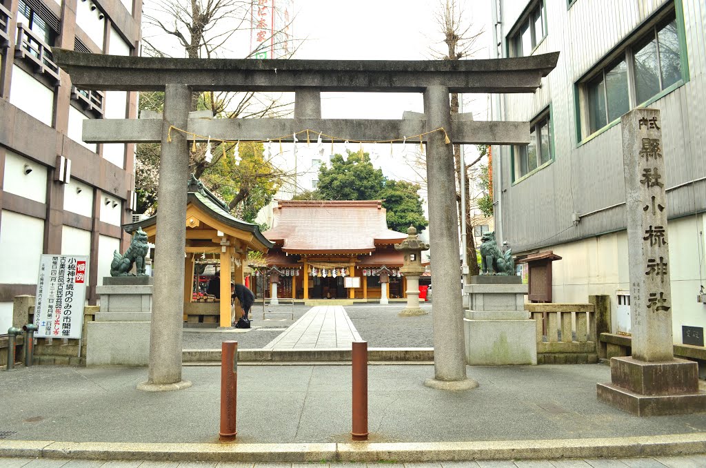 小梳神社　鳥居　Ogushi shinto shrine by nkmroioikkkz