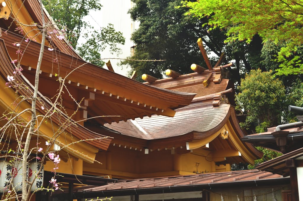 小梳神社　本殿　Ogushi shinto shrine by nkmroioikkkz