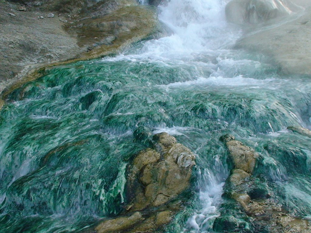 Greece Thermopylae Hot Spring 2 by Kuznetsov Sergey