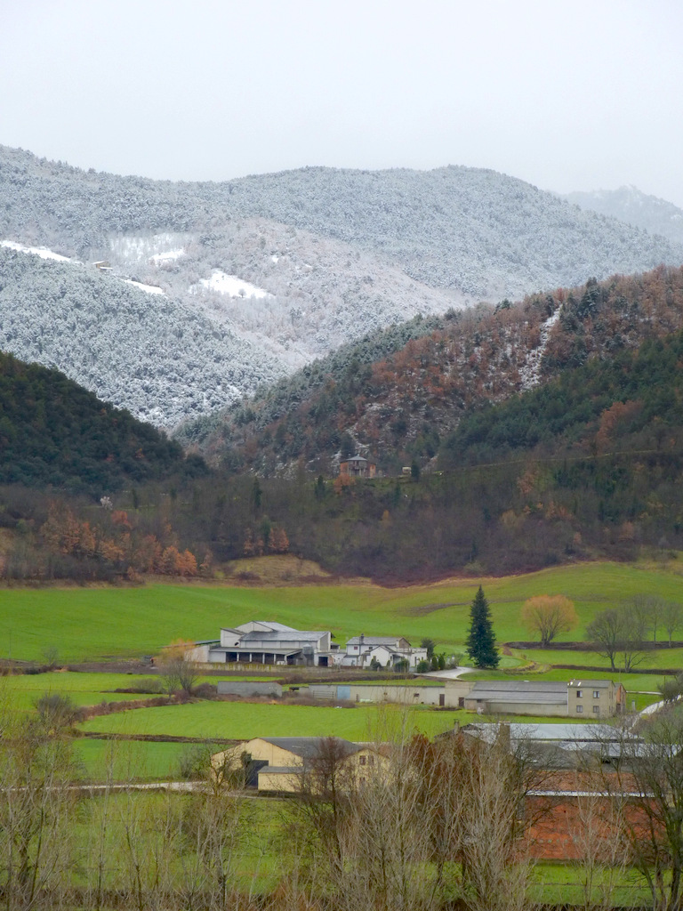 Plana de la Seu by aleixseu