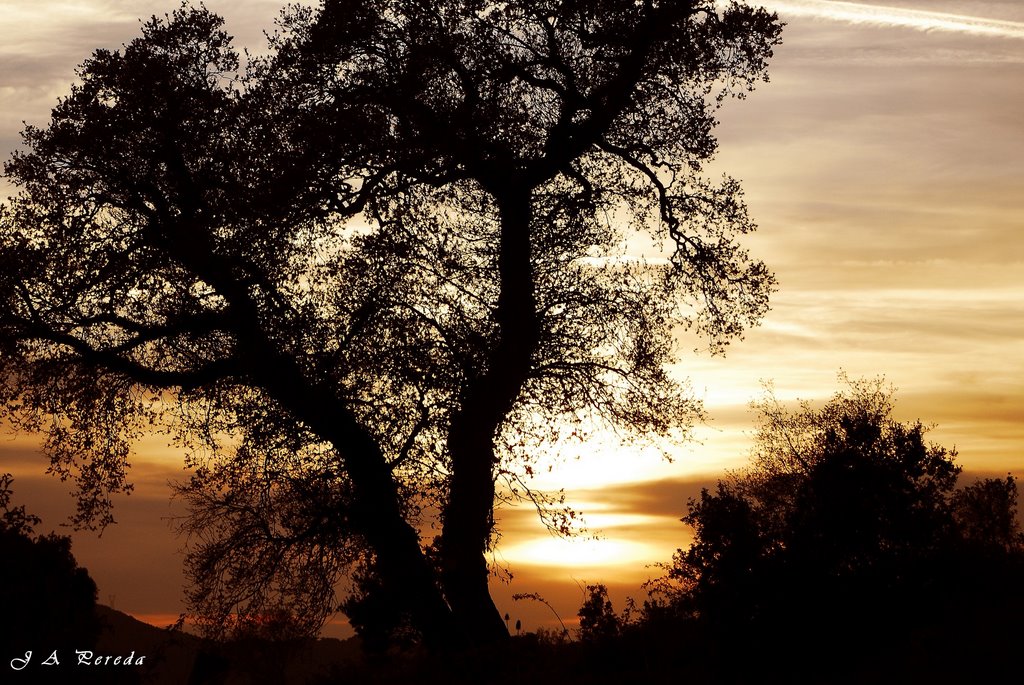 Contraluz en el Atardecer en lasierra by Jose.A.Pereda