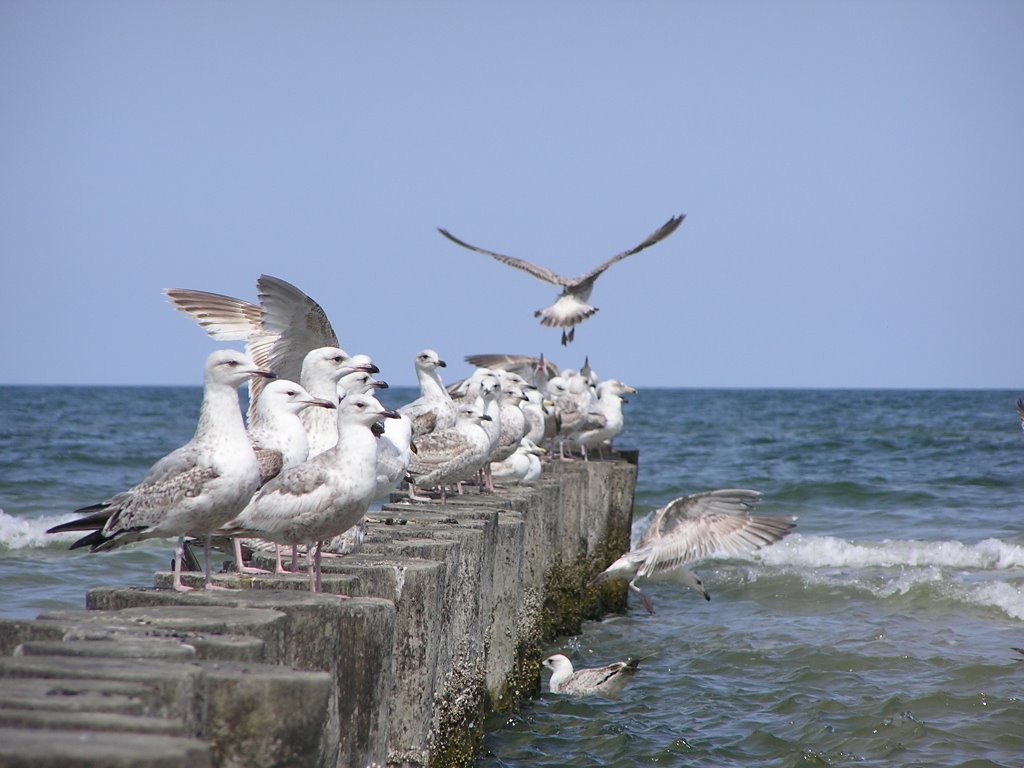 Ustka by Marcin Pieter