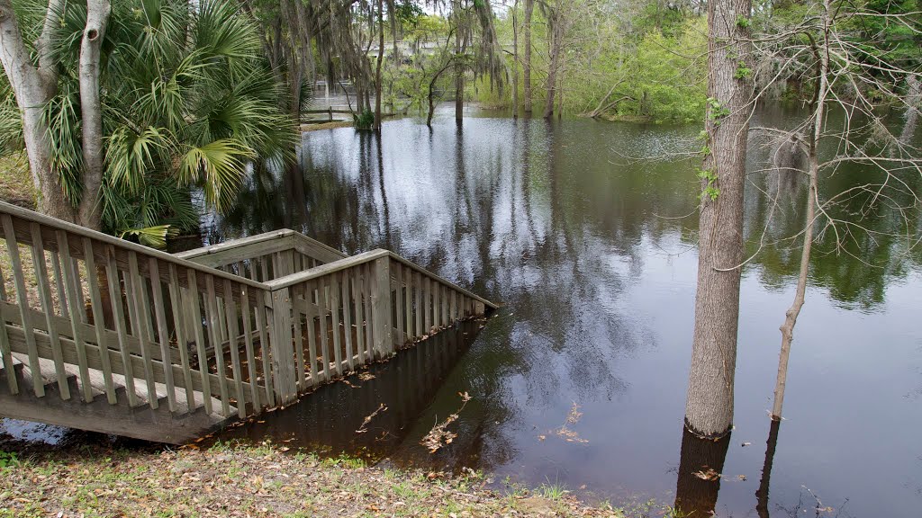 Branford Spring flooded by the Suwannee River by MacForester