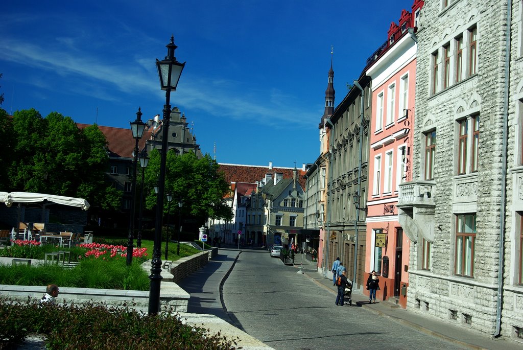 Harju Street by earthbeat