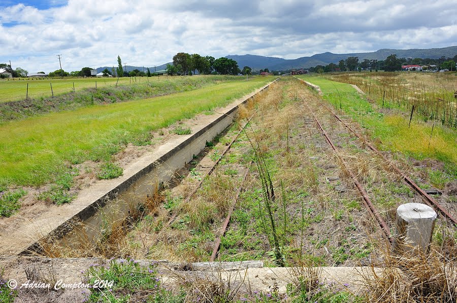 Looking north on abandoned QLD Rly tracks at the transhipment platforms, Jennings, NSW. 23 Feb 2014. by Adrian Compton