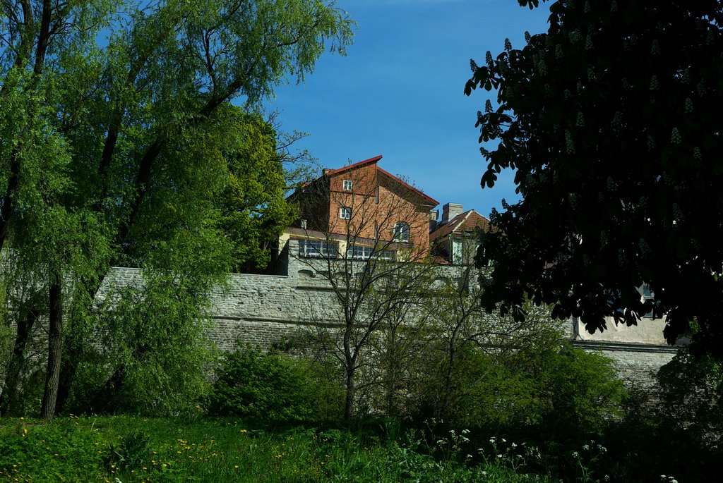 View to Toompea by earthbeat