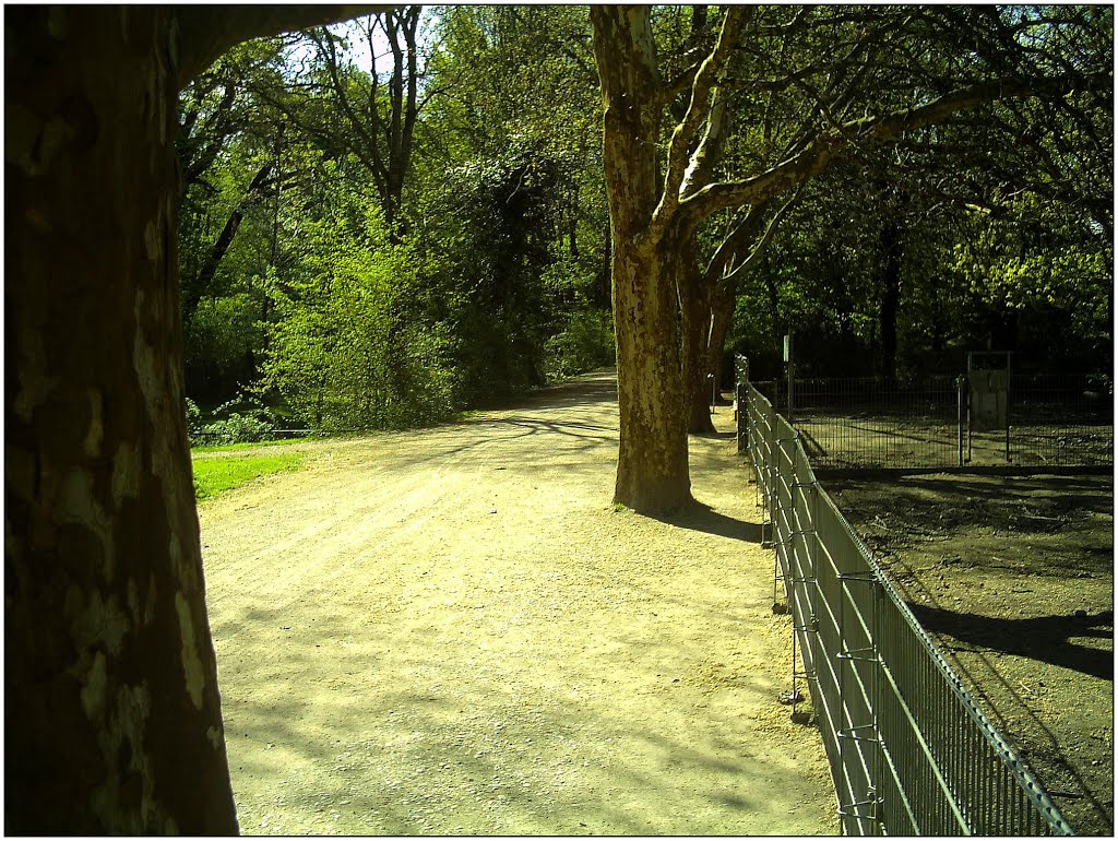 April Parc Natural Freiburg Germany - Master Landscape Rhine Valley Photography 2014 Landgut Mundenhof by jettcom