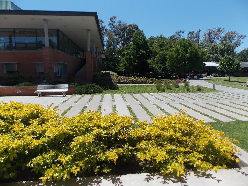 Universidad de San Andrés by Fersonia