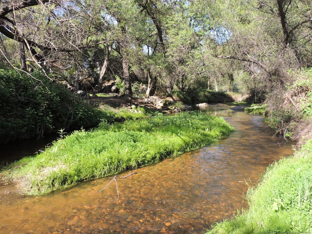 Green Grassy Island and Clear Stream Water by Steve Schmorleitz, NationalParkLover.com