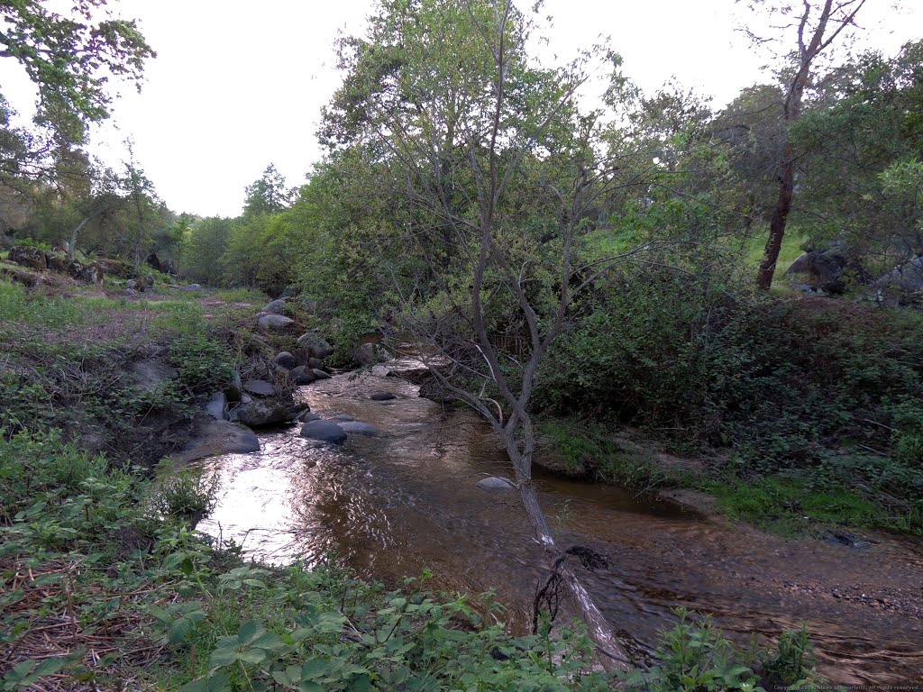 Bend in Secret Ravine Creek by Steve Schmorleitz, NationalParkLover.com