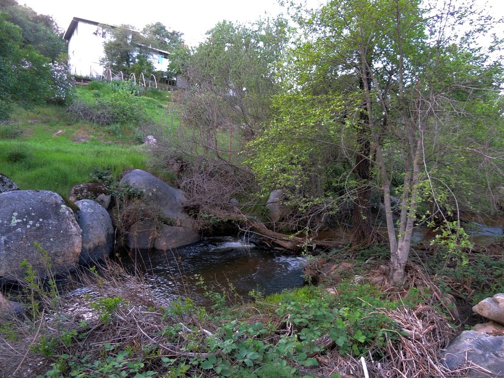 Secret Ravine Creek by Steve Schmorleitz, NationalParkLover.com