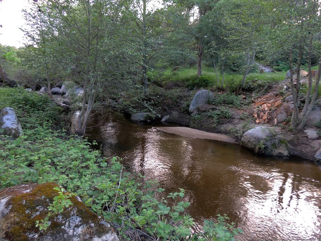 Lush Greenery amongst the Boulders, Secret Ravine Creek, Rocklin, CA by Steve Schmorleitz, NationalParkLover.com