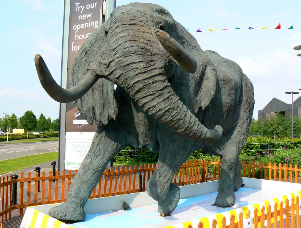 Elephant, Swindon Designer Outlet, Swindon (ENE) by Brian B16