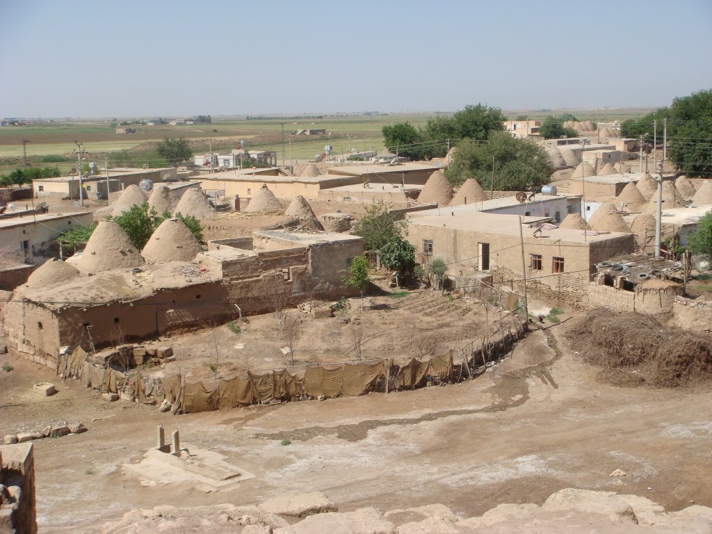 Şanlıurfa, Harran by setenay erdoğan