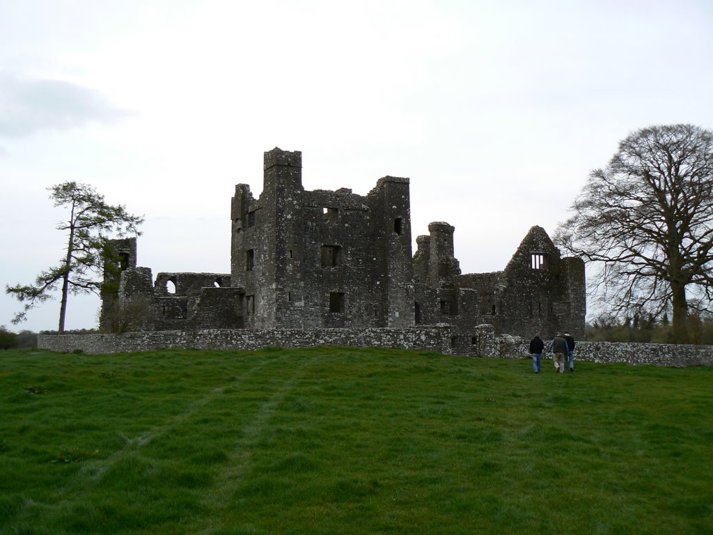 Bective Abbey by Jonas Šileika