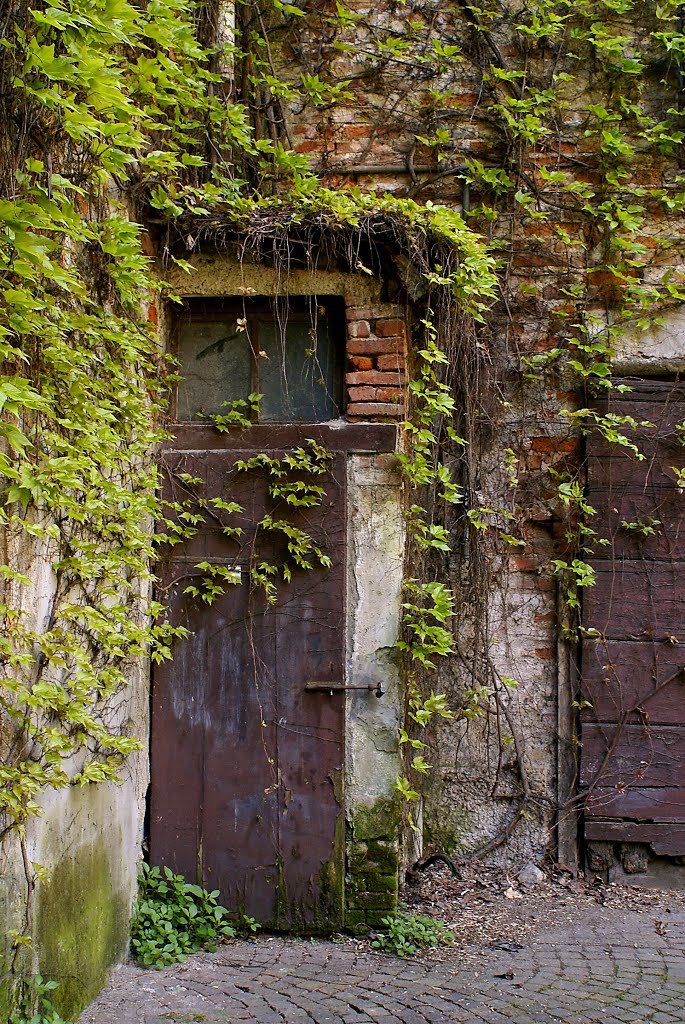 Milano, quella vecchia: porta in un cortile sul Naviglio by effeelle