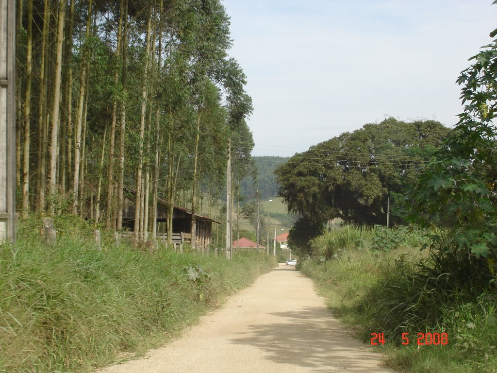 Estrada velha São Ludgero Braço do Norte by @NÉLIO BIANCO@