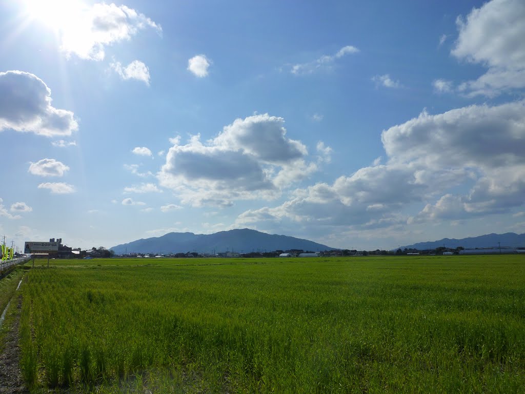 島根 田んぼ / Shimane - Rice paddy by kowaie