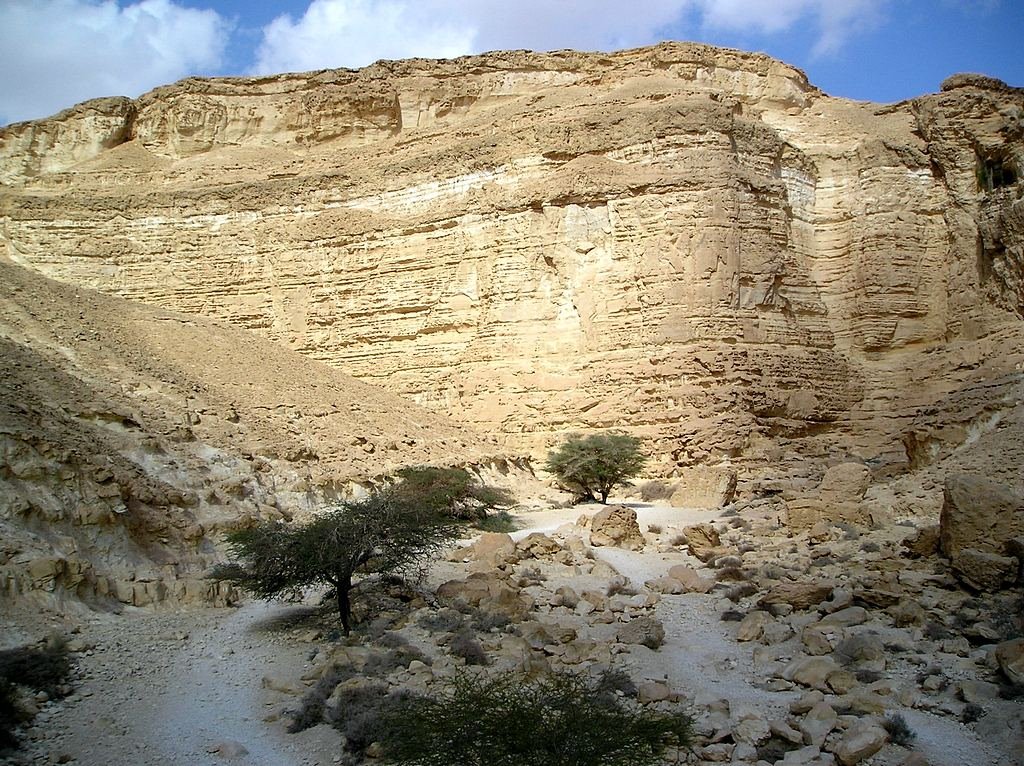 Israel. Ashosh Nature Reserve. Nahal Barak by Igor Svobodin