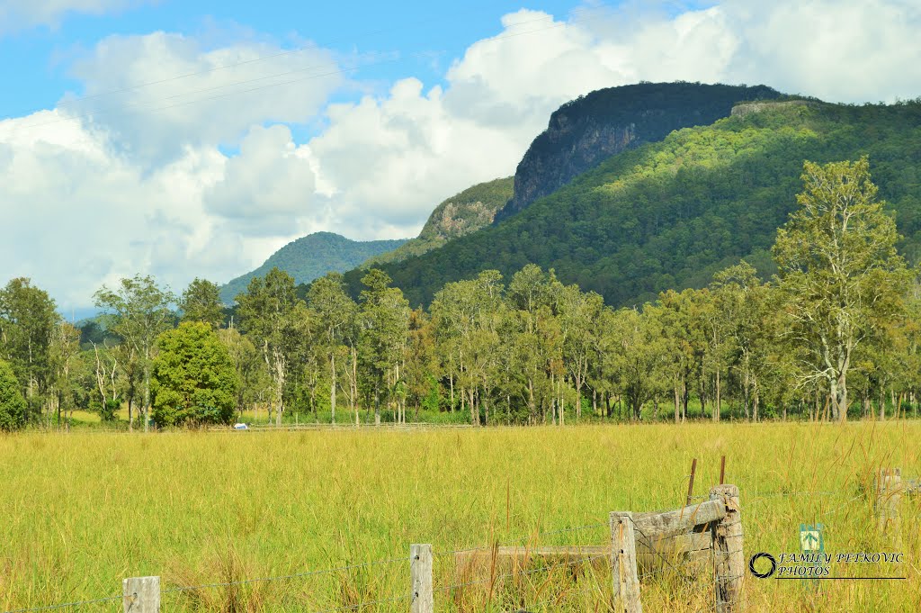 Numinbah Valley by Paljenik