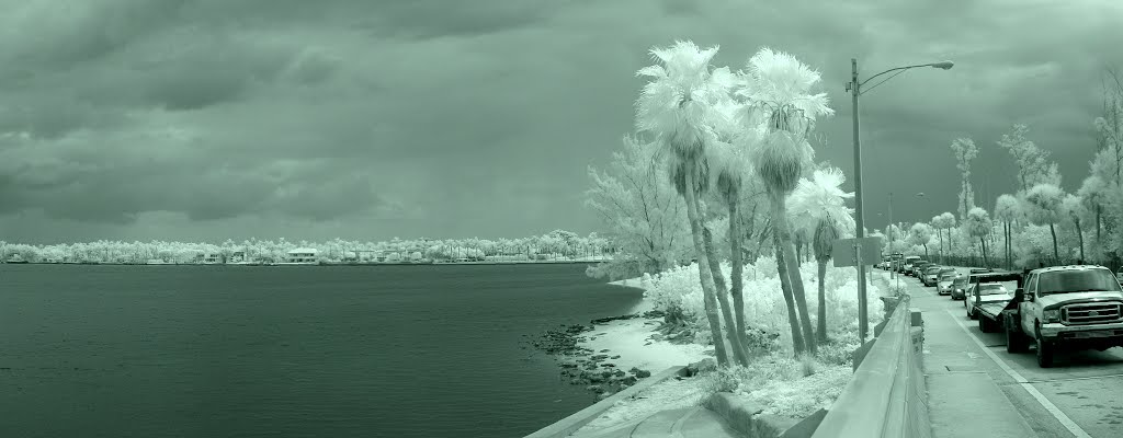 DSC07333 Palm Beach, FL 850nm Infrared by Volkan YUKSEL