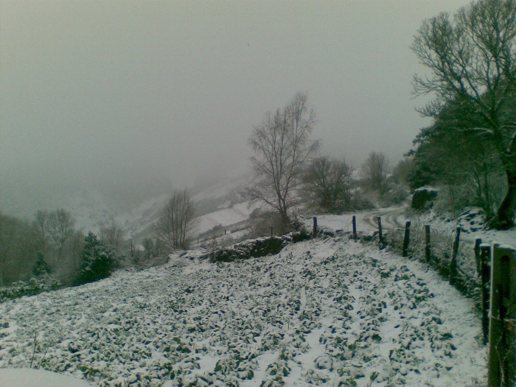 Nieve en La Laguna de Castilla by jgginer