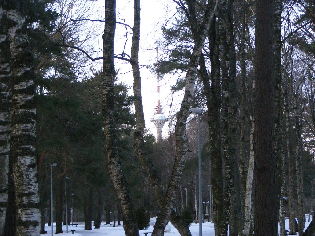 View of Tallinn TV Tower from Pirita-Kose, Tallinn, Estonia by pianoman4Jesus