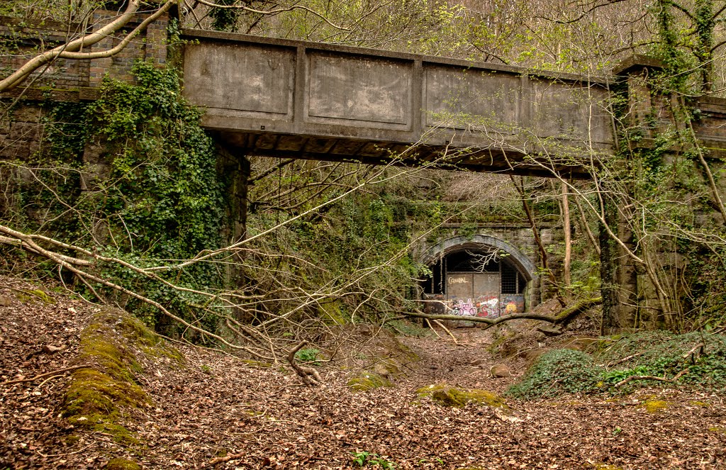 Barry Railway Tunnel by Guybm