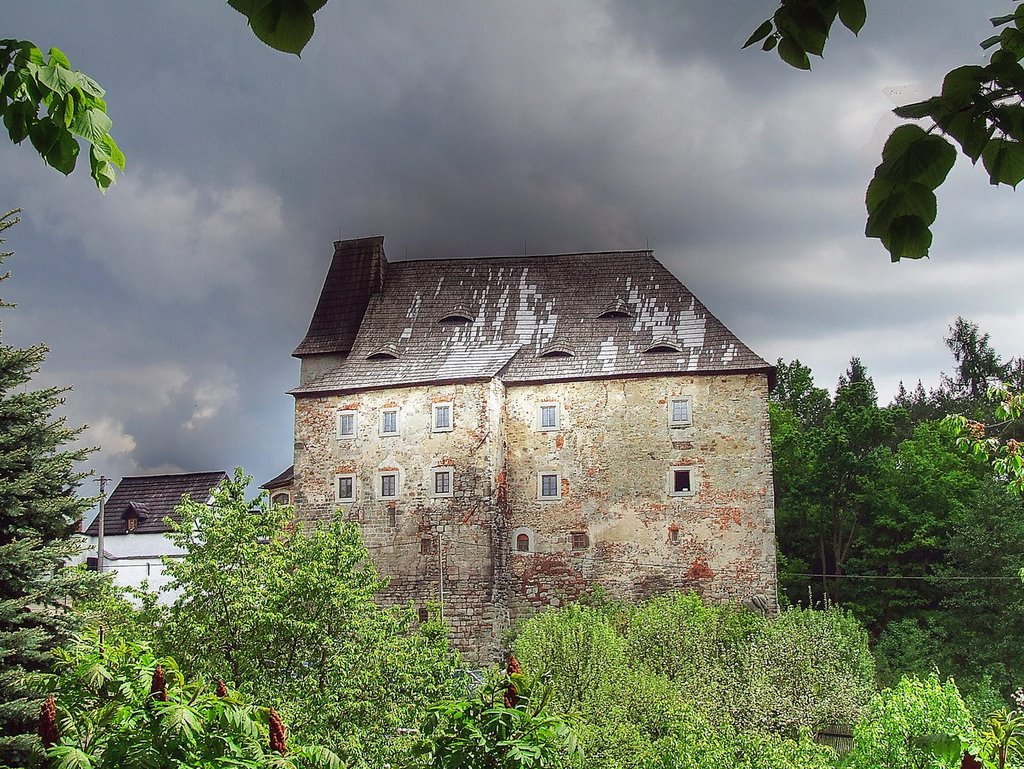 Burg Vildstein by Dieter Beer